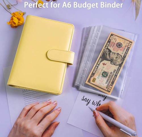 A6 Budget Binder Sleeves 80 Pack, 6-Hole Clear Binder Inserts, Double-Sided Budget Sheet Protectors for Cash Envelope System, Money Organizer for Budgeting, Receipts, Coupons & Saving Challenges - color: A6-Pockets Sleeves-80