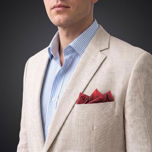 S&W SHLAX&WING Mens Pocket Square Paisley Multicolor Large for Business Wedding - color: Ah62