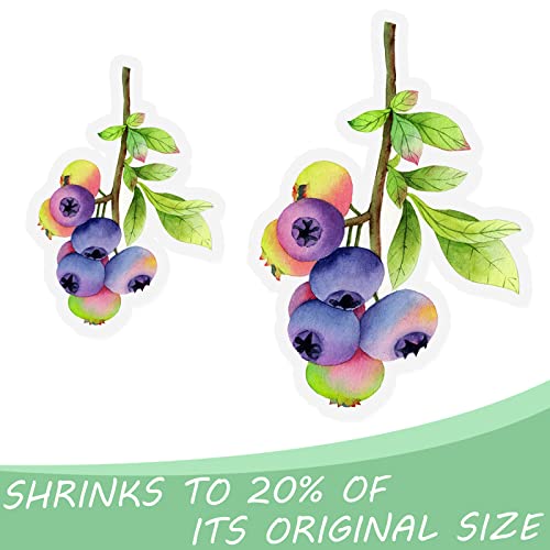Benvo 10 Pcs Heat Shrink Plastic Sheets Shrinky Art Film Paper Shrinkable Paper Making Your Own Shrink Dinks DIY Earrings Keychains Charms Mother’s Day Father’s Day Crafts Gifts(7.9 x 5.7 inch) - size: 10 PCS A5 Shrink Paper
