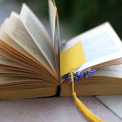 Sinmoe 240 Pcs Blank Paper Cardstock Bookmark with Tassels DIY, Solid Color