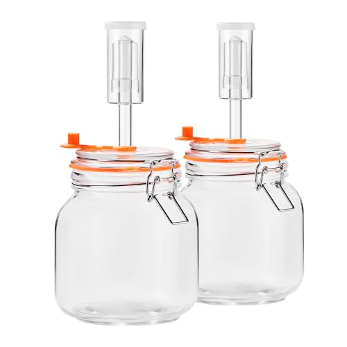 JILLMO 32 oz Glass Fermentation Jar Kit with Airlock, 2 Pack