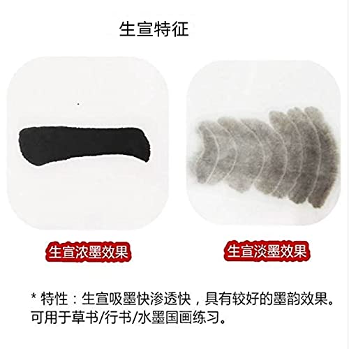 MEGREZ Raw Xuan Rice Paper Chinese Japanese Sumi Calligraphy Painting Sheet - size: 34 x 34 cm (13.4 x 13.4 inch)