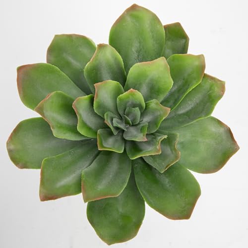 Briful Succulents Plants Artificial for Home Decor, Realistic Potted Fake Plant, Bubbled Plant Pot, Cute Succulents Faux Plant, Shelf Tables Decor, Modern Farmhouse Home Decorations - color: Succulents-bubble Ceramic Pot