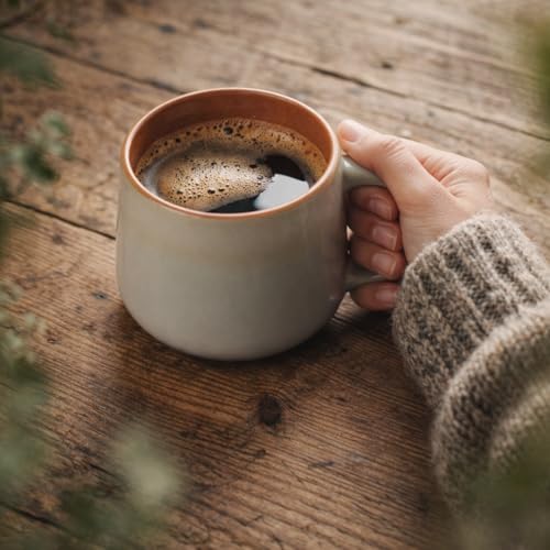 Ava Nord Large Stoneware Ceramic Coffee Mugs Set of 4 | 16 oz | Sage Ash - color: Sage Ash, size: 16 Oz