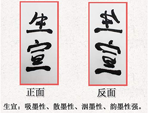 MEGREZ Raw Xuan Rice Paper Chinese Japanese Sumi Calligraphy Painting Sheet - size: 34 x 68 cm (13.4 x 26.7 inch)