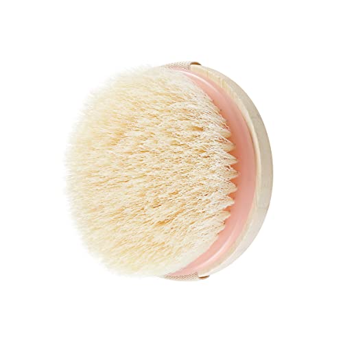 EcoTools Dry Body Brush, for Post Shower & Bath Skincare Routine, Removes Dirt & Promotes Blood Circulation, Helps Reduce Appearance of Cellulite, Eco-Friendly, Vegan & Cruelty-Free, 1 Count - color: No Color, size: 1 Count (Pack of 2)