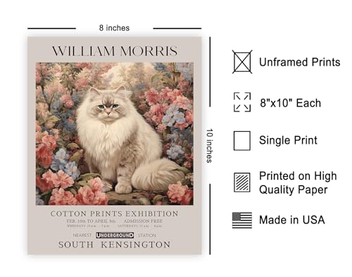 Poster Master Persian Cat Print - Flower & Animal Art - Botanical Exhibition Wall Design - Floral Cat Illustration - Aesthetic Office or Bedroom Decor - 8x10 UNFRAMED Wall Decor - color: Style-04, size: 8"L x 10"W