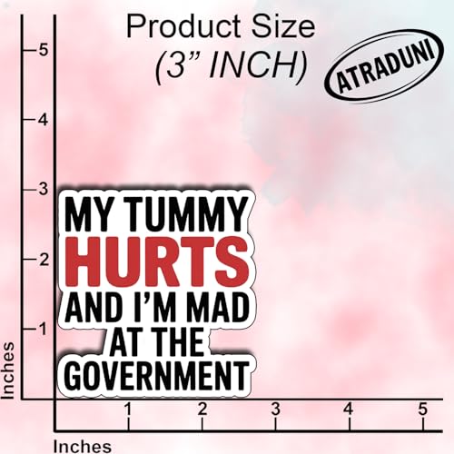 (3Pcs) My Tummy Hurts and I’m Mad at The Government Stickers Funny Sarcastic Quote Humor Gifts Waterproof Vinyl Decals for Kindle Water Bottle Bumper Car Hard Hat Phone Laptop Size 3" x 2.6" - color: My Tummy Hurts and I’m Mad at the Government