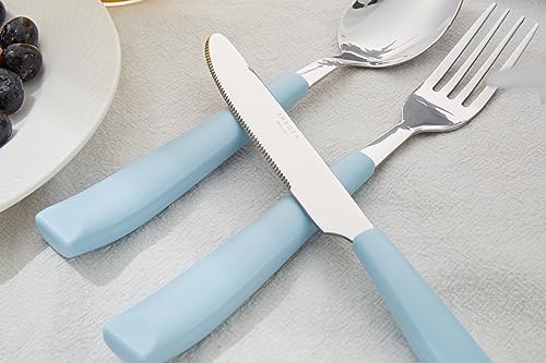 ANNOVA Silverware Set Stainless Steel Colorful Handle Tableware Kitchen Flatware Set Utensils, Includes Dinner Knives, Forks, Spoons, Salad Forks & Dessert Spoons (Light Blue, 20 Pieces) - color: Light Blue 20Pieces