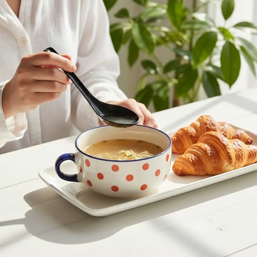 Asian Soup Spoons 2pcs Meal Spoon Black Long Handle Spoon with Hook