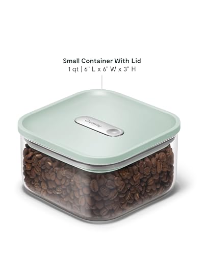 Caraway 1 qt Glass Airtight Food Storage Container with Lid - color: Mist, size: 1qt Container