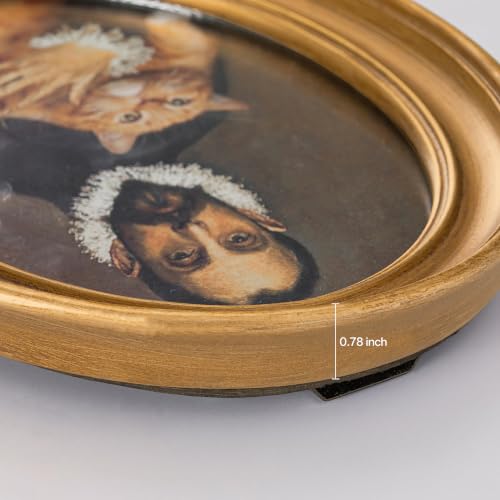 eletecpro 5x7 Oval Picture Frame with Real Glass Cover, Gold, 2-Pack - color: Gold, size: 5x7 Inches
