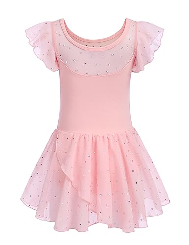 Zaclotre Girls Ballet Leotards Ruffle Sleeve Sparkle Dance Leotard - color: Ballet Pink, size: 2-3T