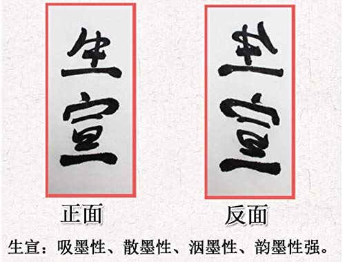 MEGREZ Raw Xuan Rice Paper Chinese Japanese Sumi Calligraphy Painting Sheet - size: 34 x 138 cm (13.4 x 54.3 inch)