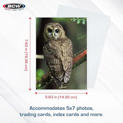 BCW 5x7 Photo Sleeves – 200 ct | Acid Free, No PVC | Soft Clear Plastic Photo Sleeves | Archival Quality | Fits 5x7 Photos & BCW 5x7 Toploaders