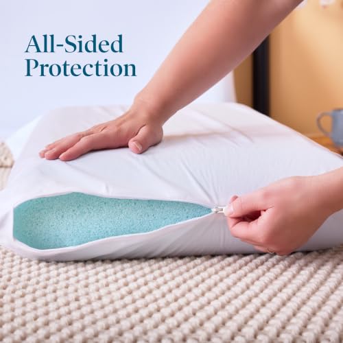 Lucid® Zippered Pillow Encasement – Waterproof Protector – Queen, Set of 2 - size: Queen, style: Pillow Encasement