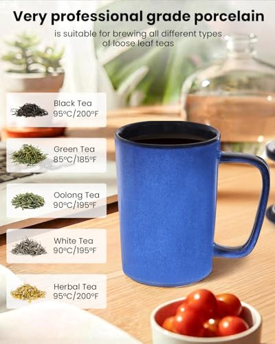 Ceramic Tea Mug with Infuser and Lid,16oz Porcelain Loose Leaf Tea Cup with Large Handle,Metal-Free Filter,Microwave &Dishwasher Safe,Perfect for Tea,Coffee (Vintage Blue) - color: Vintage Blue