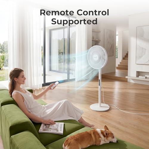 SAnmay Pedestal Fan,Ultra Slim Floor Fan 2-in-1 Detachable Portable Desk Fan, USB-C Powered & Power Bank Compatible, Quiet Air Circulator for Outdoor, RV, Camping and Home