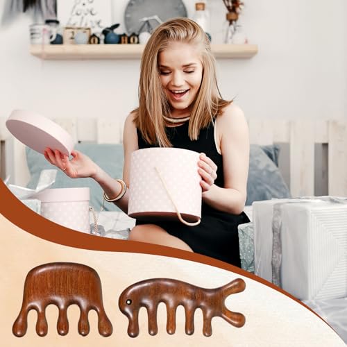 2 Pack Wooden Wide Tooth Hair Comb Head Massage Tool