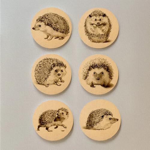 Hand Drawn Hedgehog Coasters with Holder Set of 6, Illustration Cork Coaster Absorbent for Office Desk Table Coasters Kitchen Decor House Warming Gifts for New Home Couples, Round 4" - color: Hedgehog