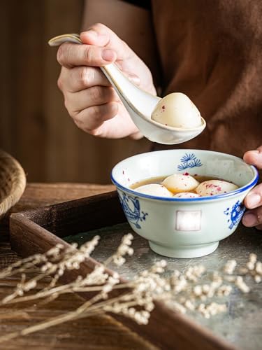 Gomakren Soup Spoons Ramen Spoons Set of 6 with Long Handle, Creamy White - color: Creamy White