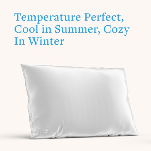 Mulberry Silk Pillowcase for Hair and Skin, 22 Momme 100% Silk - color: Silver Pillowcase