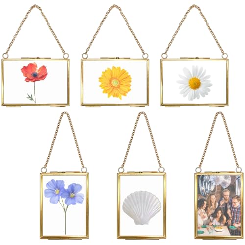 6 Pcs Brass Hanging Mini Photo Frame Double Glass Floating Picture Frame with Chain Vintage DIY Display Frame for Pressed Flowers Artwork Home Wall Decor(3.5x2.5 Inch)