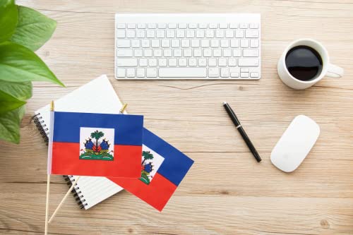 25Pack Small Haiti Flag Handheld Mini Haitian Flag on Stick 5x8 Inch - color: Haiti