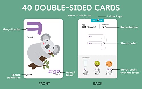 40 Korean Flashcards – 4x6 Dry Erase Hangul (Gift Box)