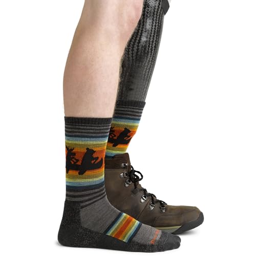 Darn Tough Vermont Men's Willoughby Micro Crew Cushion Hike Socks (5003) - color: Chestnut, size: Large