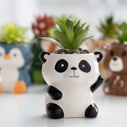 DIYOMR Cute Animals Planter, Mini Ceramic Cartoon Animal Shaped Succulent Flower Pot Indoor Air Plants Holder, Smooth Shiny Decorative Flower Cactus Planter - Plants Not Included (Panda) - color: Panda