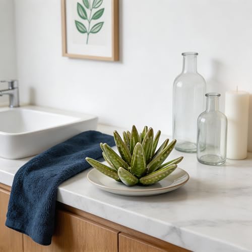 Ceramic Succulent Flower Table Centerpiece (Cactus) - color: Cactus