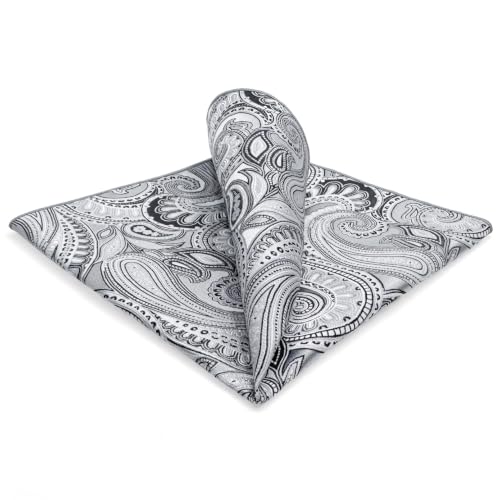 S&W SHLAX&WING Mens Pocket Square Paisley Multicolor Large for Business Wedding - color: Kh7