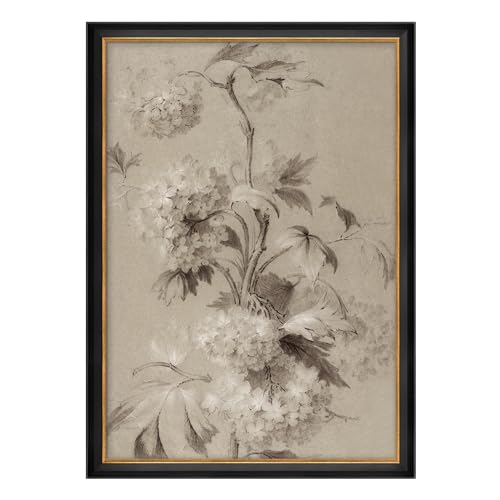 MUDECOR Premium Framed Canvas Print Wall Art Antique Botanical Floral Drawing Illustrations Modern Art Contemporary Scenic Fun Warm for Living Room, Bedroom, Office - 26"x36" Black - color: A07-2308-b40, size: 36"L x 26"W, style: Black Frame