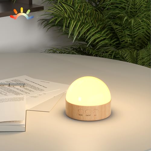 Kintion Portable Night Light, Rechargeable Dimmable 8 Color Lighting (1pcs) - color: Brown 1pcs