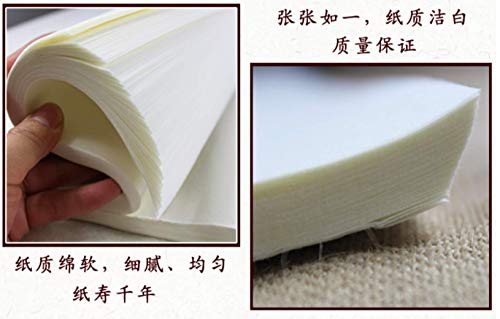 MEGREZ Raw Xuan Rice Paper Chinese Japanese Sumi Calligraphy Painting Sheet - size: 34 x 138 cm (13.4 x 54.3 inch)
