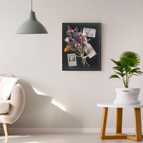 FramePro Shadow Box Frame 16x20 with Removable Shelves, Deep Memory Box Display Case for Collector, Keepsake Coins Military Medals Pins Wedding Flowers Black - color: Black, size: 16x20