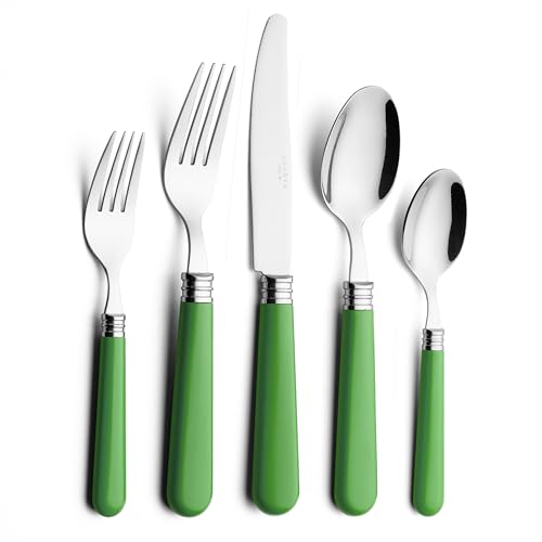 ANNOVA Silverware Set 20 Pieces Cutlery Stainless Steel Colorful Fun Handle Flatware Service for 4 - Dinner Knife, Dinner Fork, Salad fork, Dinner Spoon, Dessert Spoon (Green, 20 Pieces) - color: Green