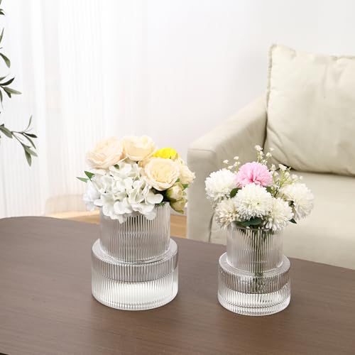 Ribbed Glass Vases for Bouquet, Set of 2 Fluted Vases for Flowers, Clear Vase for Tulips, Modern Glass Vase for Living Room, Office, Coffe Table, Dining Table, Shelf, Wedding - color: Clear, size: Large+Medium