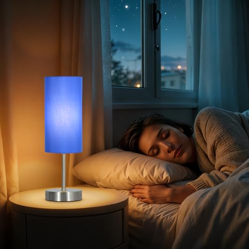 RISLG 2 Pack Small Table Lamps for Bedroom, Bedside Lamps for Nightstand with Wire Switch, Minimalist Modern Desk Lamps with Linen Fabric Shade for Kids Room Living Room Office Dorm, Bulb Included - color: 2 Pack Blue-Silver, size: 13in