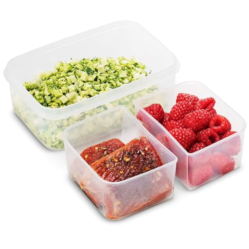Komax Biokips Lunch Containers Set of 4 - Airtight Food Storage Containers w/ 2 Removable Compartments – BPA-Free Plastic Meal Prep Container Set - Dishwasher Safe Lunch Box Containers (30.4 oz)