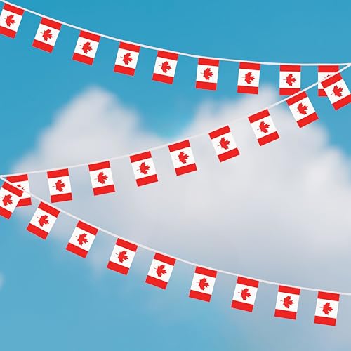100 Feet Canada String Flag, 76 Pcs Canadian Banner Flag, Small Mini World Banner Flags for Sports Events, Bars Decorations, School Festivals, Party Decorations, Celebrations (Canada) - color: Canada
