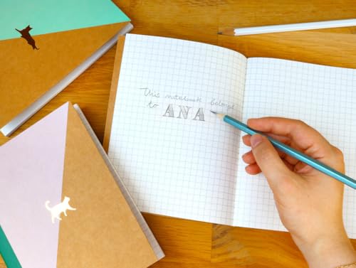 Suck UK Pocket Notebook Set - Portable Line Grid & Dot On-the-Go Notes - Practical & Compact Writing Journal Recycled Paper School Office & Travel Use - Unique Cute Cat Lovers Novelty Gift Set - style: Cat Notebook