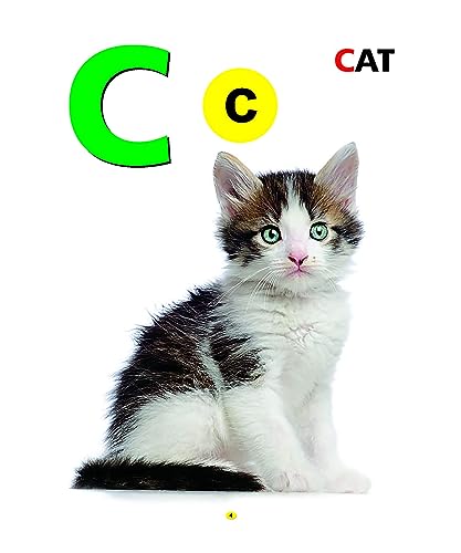 My First Book of ABC - Alphabet Learning, Preschool Activity Book for Brain Development, Phonics, and Early Communication Skills