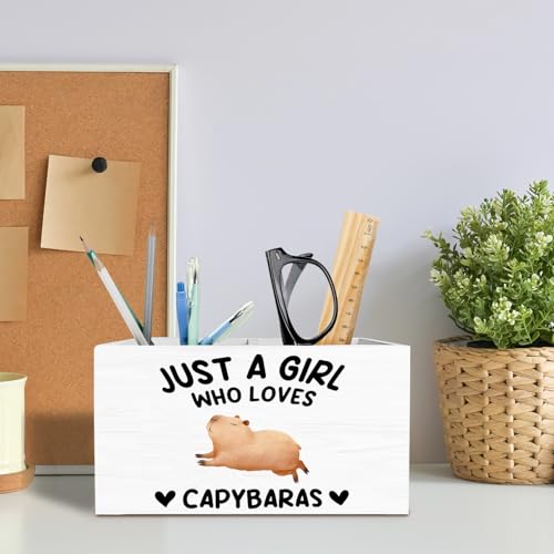 Funny Capybara Pen Holder for Desk, Capybara Lover Gifts Pencil Organizer, Just a Girl Who Loves Capybaras Wooden Box Sign Desk Decor for Home Office Decoration - color: CAPYBARAS