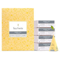 Tea Forte Bombay Chai Event Box Tea Set, 40 Pyramid Infusers - size: 40 Count