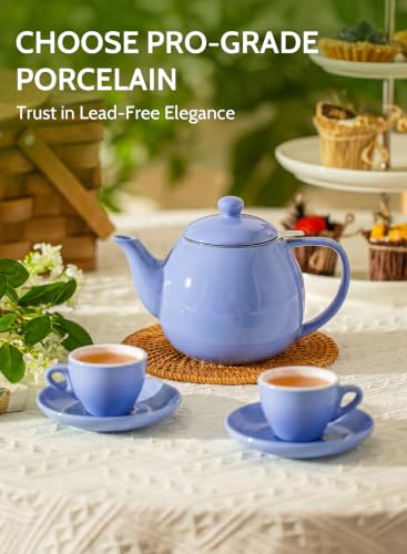Sweese Porcelain Teapot 27 oz with Infuser for Loose Leaf Tea, Dusty Blue - color: Dusty Blue, size: 27oz (with infuser)