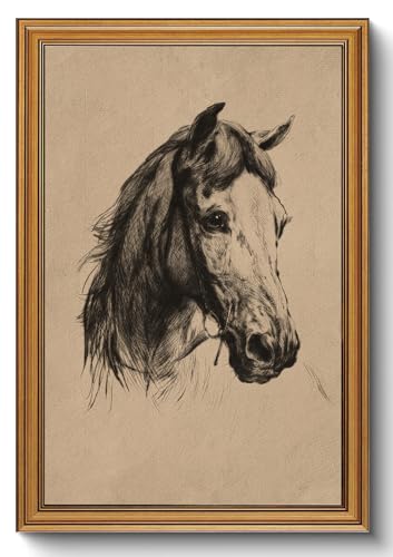 Vintage Gold Framed Wall Art Horse Portrait Canvas Prints Decor 16x24in - color: Horse head, size: 16"x24"