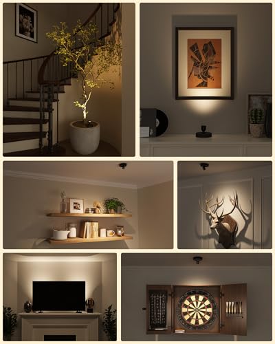 EZVALO 2-Pack Spotlight Indoor, Rechargeable Battery Picture Lights, Wireless Uplights with Remote, Dimmable, ⁠3 Color Temperatures⁠, Timer, Accent Lighting for Plants, Trees, Art, Displays - color: Black