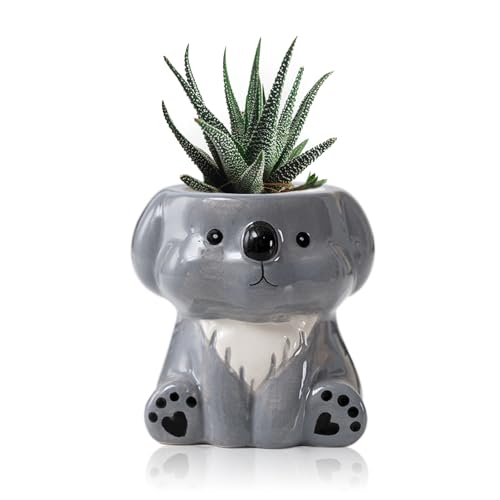 DIYOMR Cute Animals Planter, Mini Ceramic Cartoon Animal Shaped Succulent Flower Pot Indoor Air Plants Holder, Smooth Shiny Decorative Flower Cactus Planter - Plants Not Included (Koala) - color: Koala